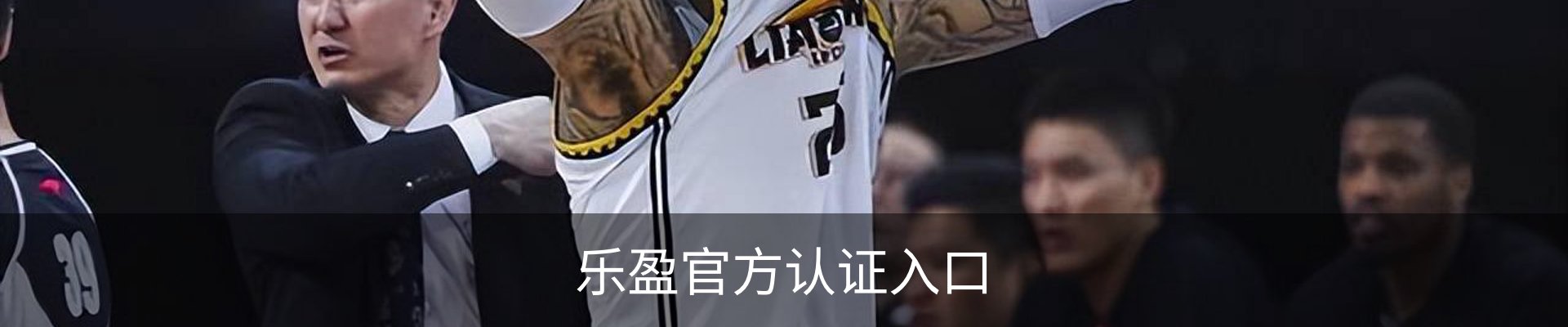 乐盈官方认证入口